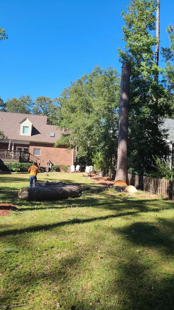 Homeowner reviewing tree estimate with professional tree service crew in Wilmington NC